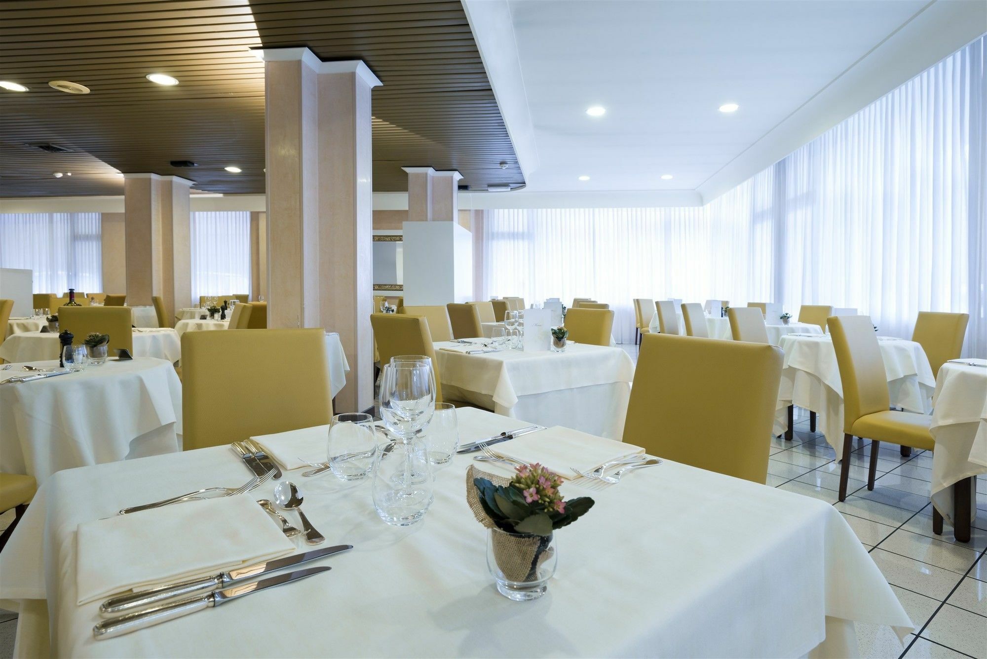 Hotel Terme Olympia Montegrotto Terme Zewnętrze zdjęcie